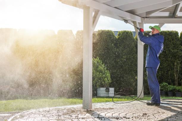 Best Soft Washing  in New Knoxville, OH